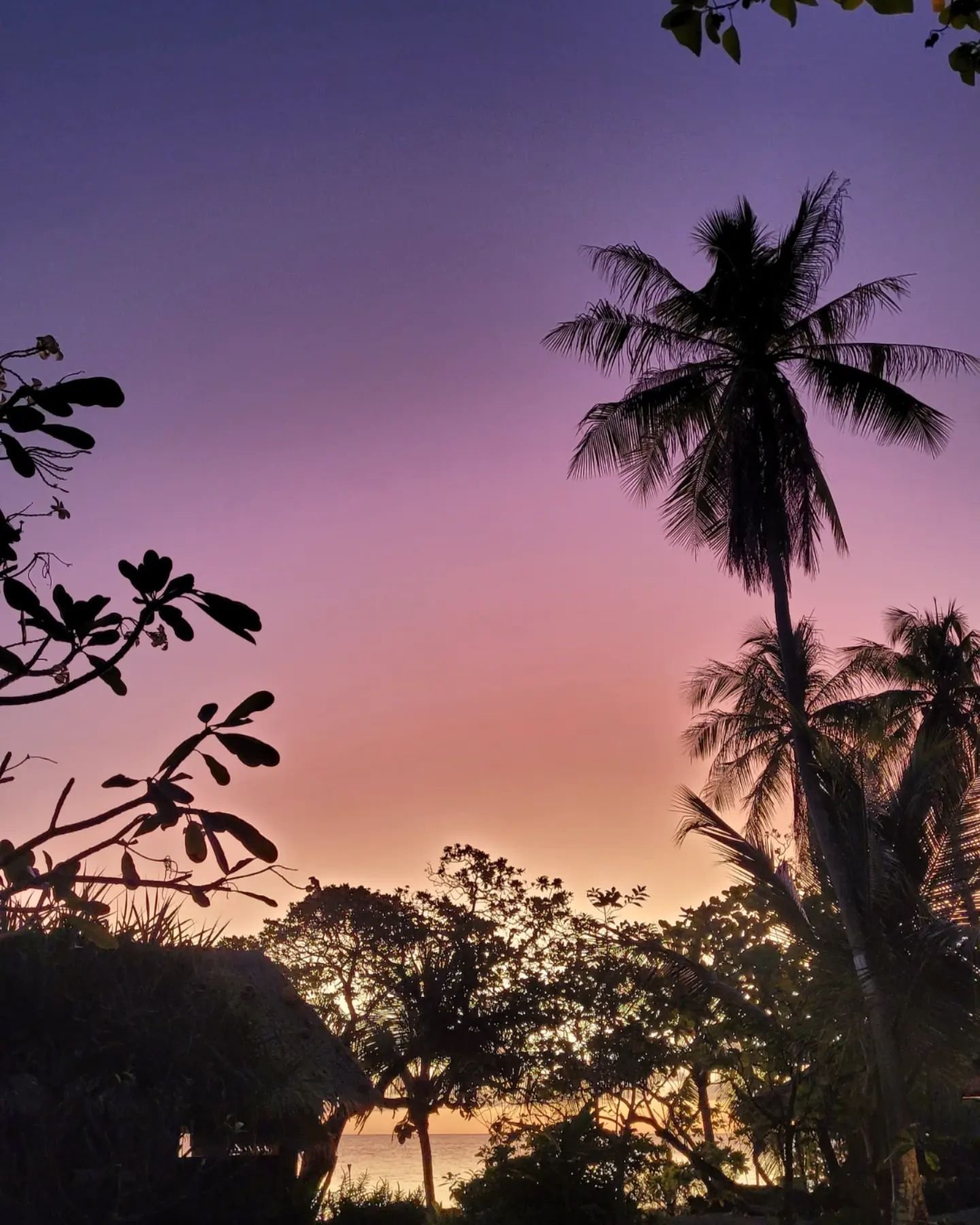 Sans filtre.... sunset de ouf !
#sunsets_captures
#amazing #wow #fakarava #tuamotu #frenchpolynesianislands