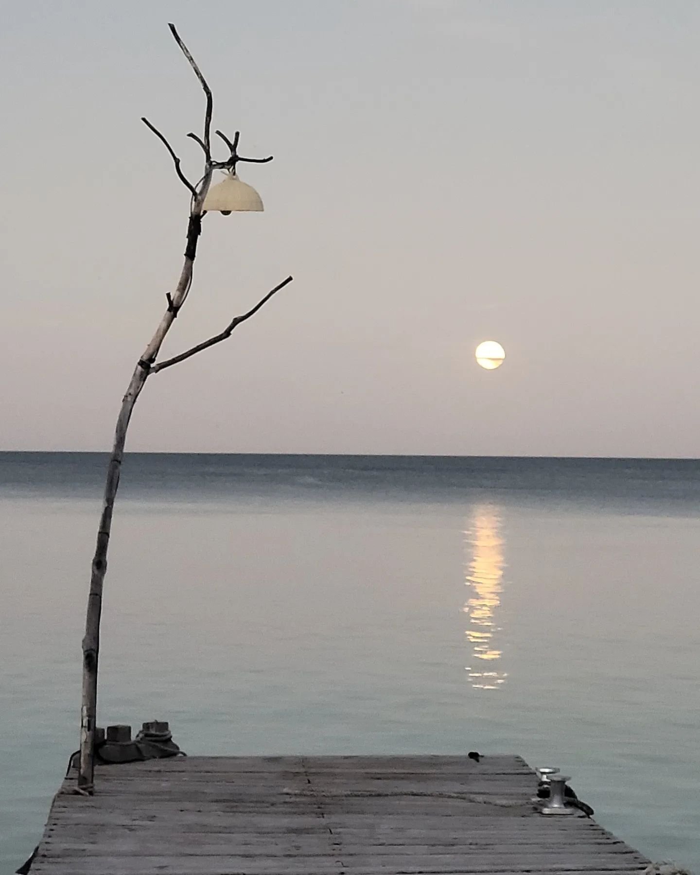 La lune s'endort...
#moonset #morningmotivation #goodvibes #fakarava #'tuamotu #'frenchpolynesia #raimiti