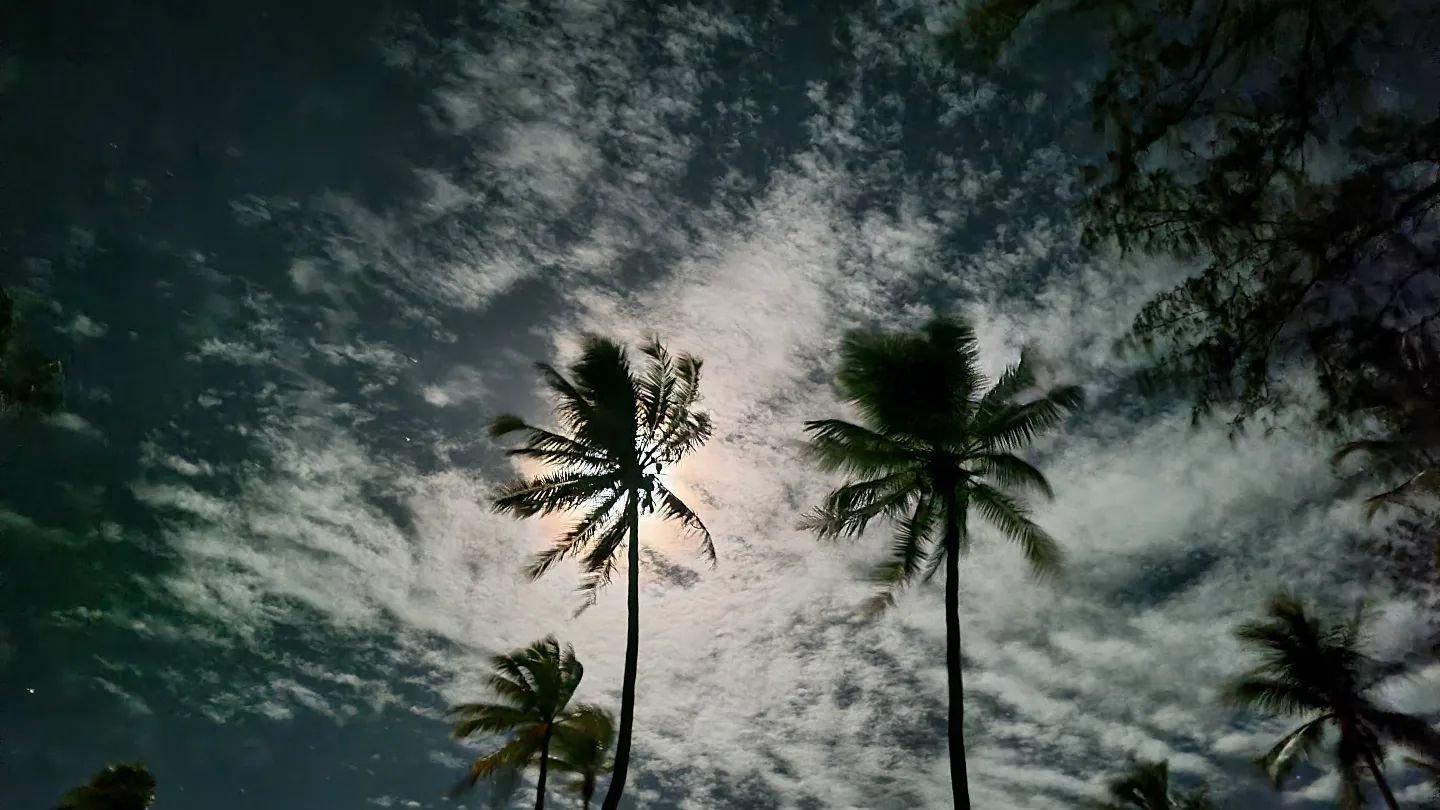 Aquarelle nocturne
#moonlightdrawnbyclouds #moonshine #nightout #tuamotu #fakarava #raimiti