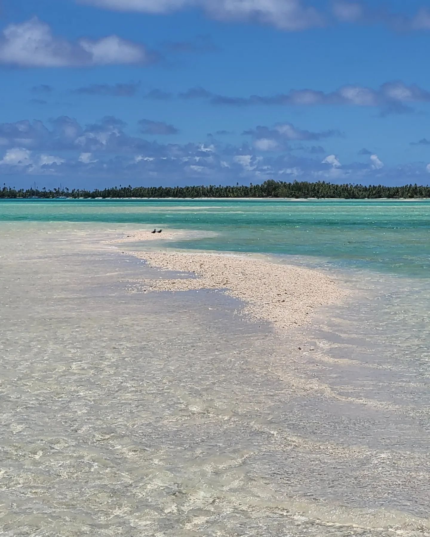 In the middle of nowhere....
#paradise #coldplay #fakarava #raimiti #tuamotu #remote #specialplace