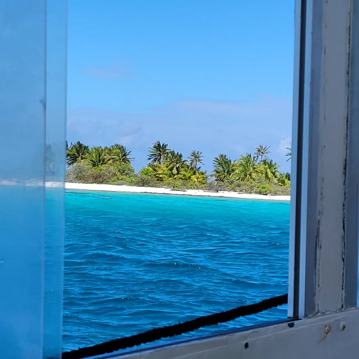 Fenêtre sur paradis
#window #boatride #ontheway #fakarava #south #tuamotu #raimiti